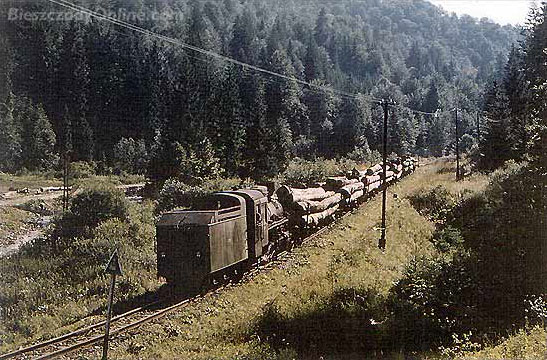 Cisna: historical photo of a logging train, © Bieszczady online