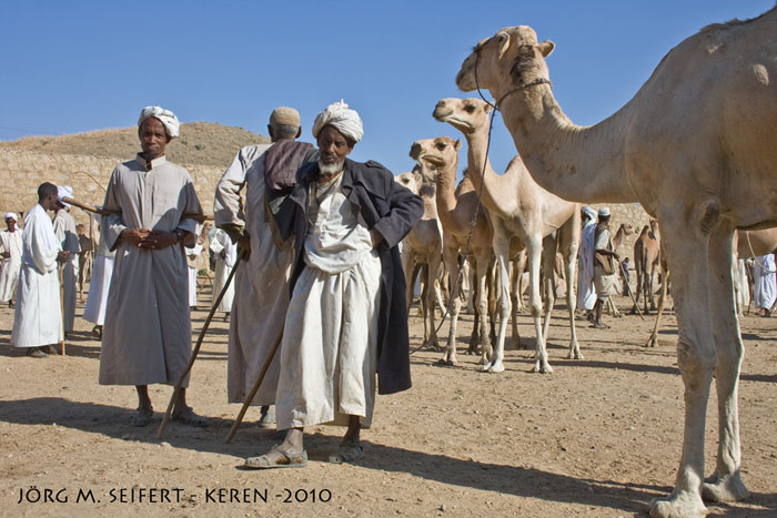 Camel market in Keren © Jörg M. Seifert