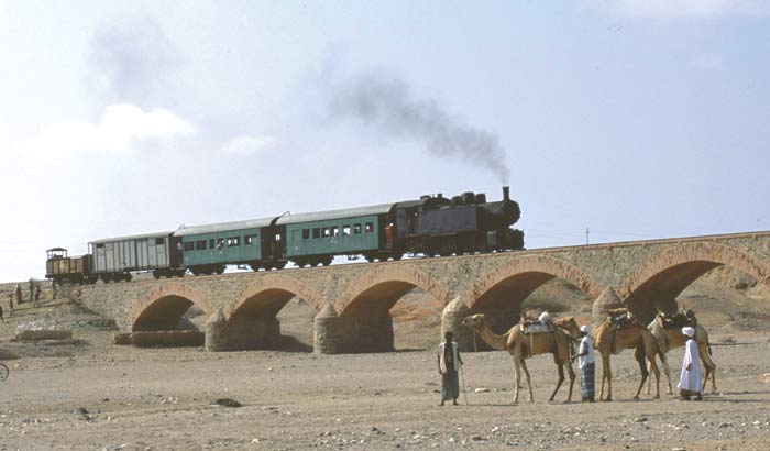 Camels near Dogali