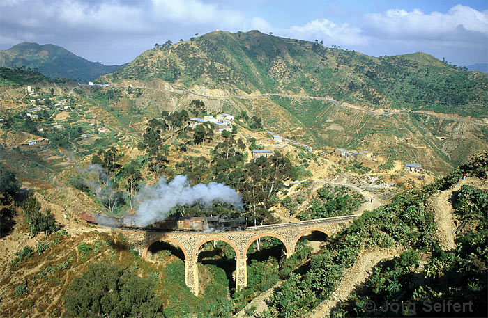 eines der schönen Viadukte im oberen Abschnitt der Eritreabahn