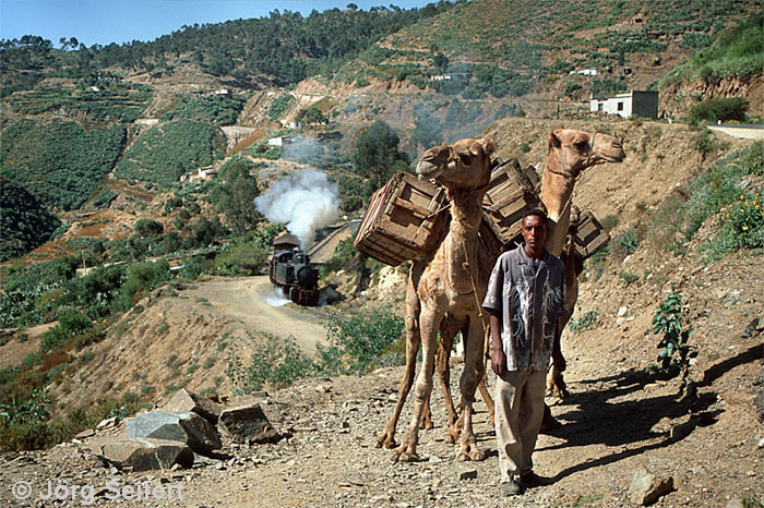 kamel-mode of transport