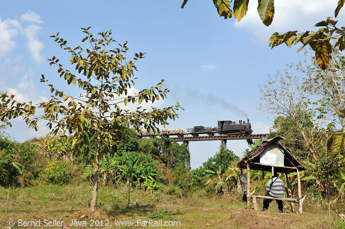 Cepu forestry railway