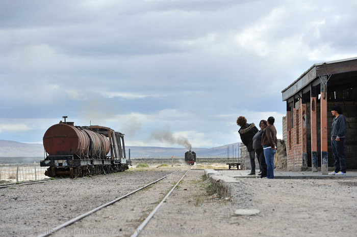La Trochita - The Old Patagonia Express: Mamuel Choique
