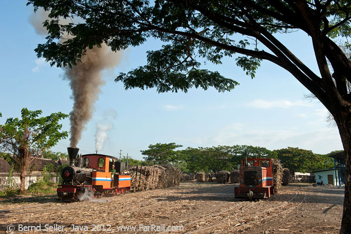 Steam and diesel on the 600 mm gauge railway of Soedhono
