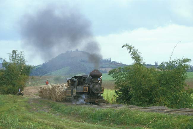 Nr. 100 mit einem beladenen Zug auf einer der Bergstrecken im Osten, Foto: Hans Hufnagel