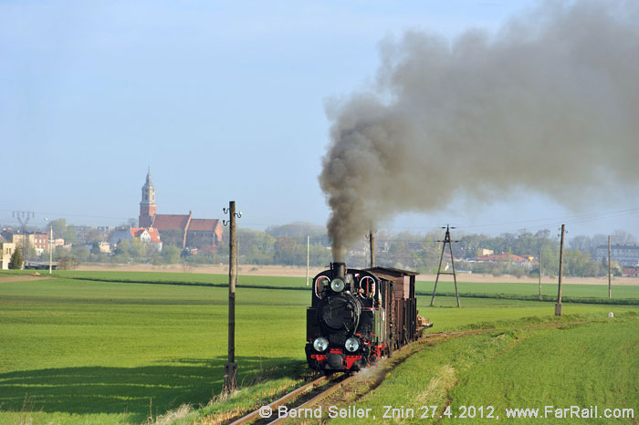 narro gauge steam in Poland: Znin