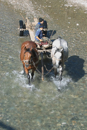 horse car passing the river, photo: Robert Turner