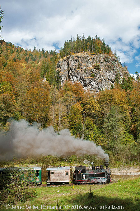 narrow gauge steam in Romania: Viseu de Sus, October 2016