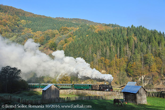 Narrow gauge steam in Romania: Viseu de Sus, October 2016