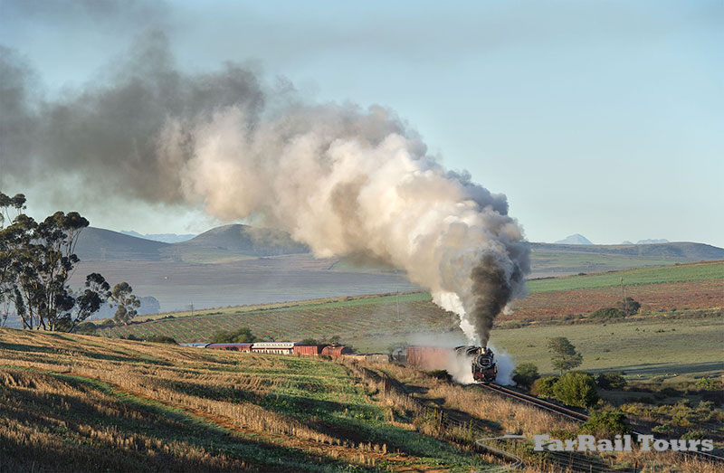 Kapspur-Dampf in Südafrika